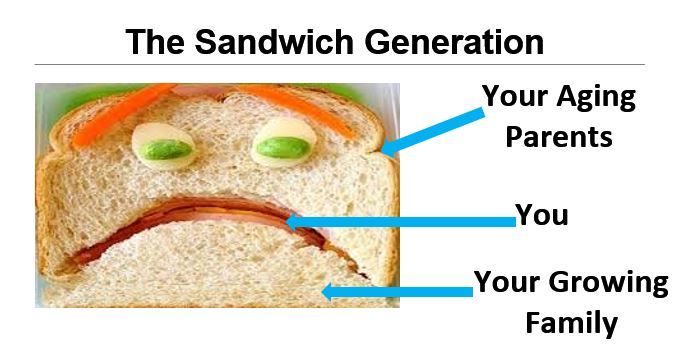 sandwich